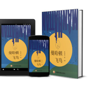 曼哈顿飞鸟