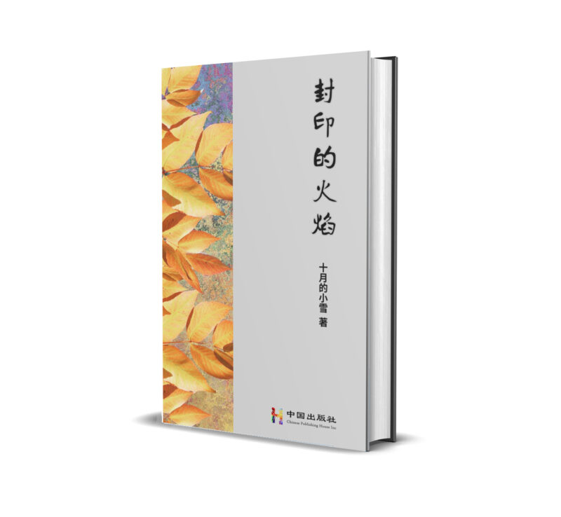 封印的火焰